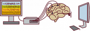 Decoding conceptual representations in the human brain