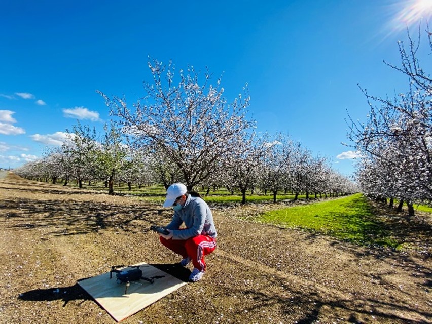 shake-and-catch harvesting for fresh market apple and blueberry